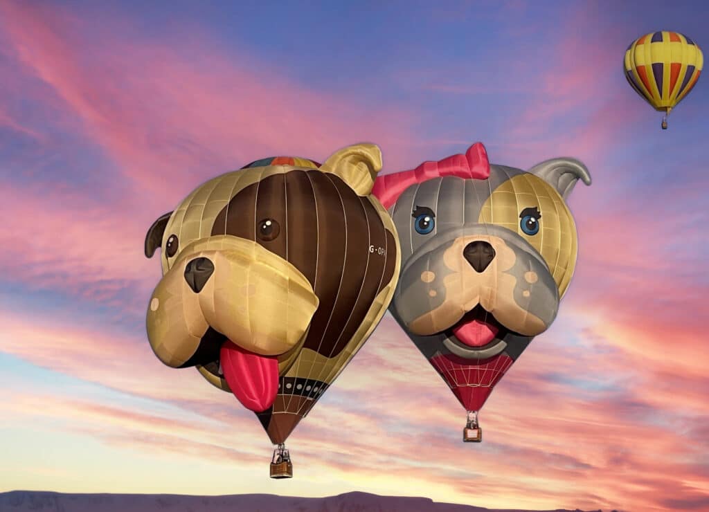 5 Tips for the Great Reno Balloon Race